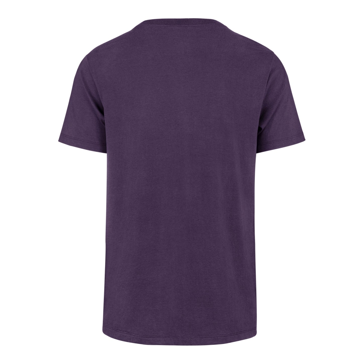 CHARLOTTE HORNETS PREMIER '47 FRANKLIN TEE REGENT PURPLE