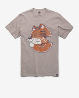WOLF GREY