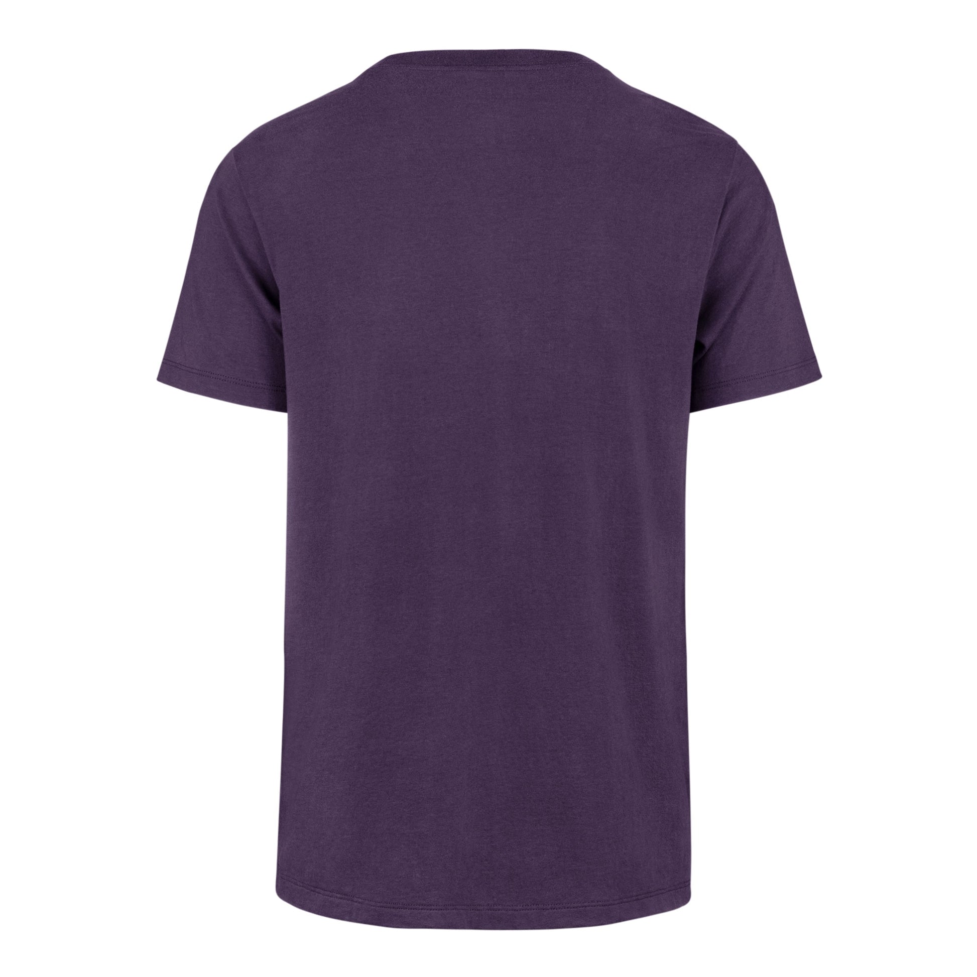CHARLOTTE HORNETS PREMIER '47 FRANKLIN TEE REGENT PURPLE