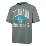 DUSTED DARK GRAY