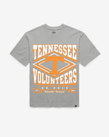 WOLF GREY